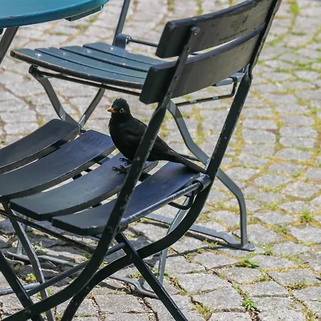 Katzensprung 3* Pasawa