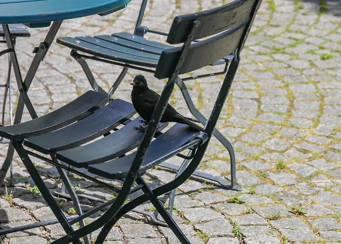 Katzensprung 3* Passau