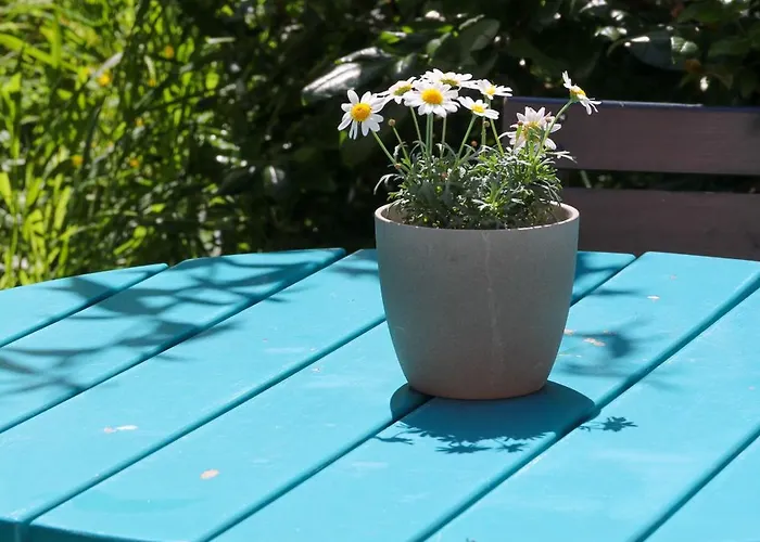 Guest house Katzensprung